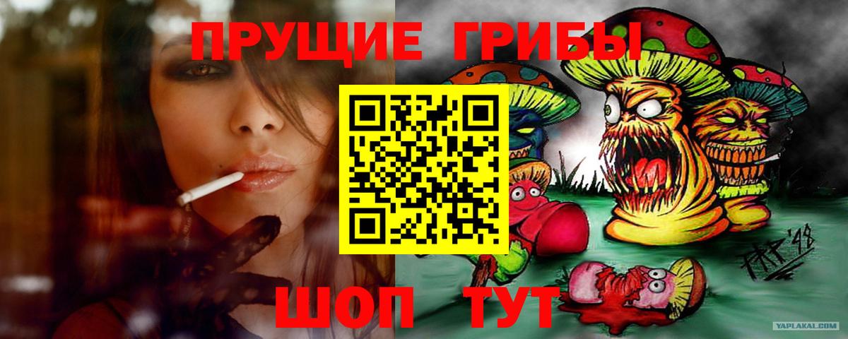 где купить наркотик  Галлюциногенные грибы Psilocybe  Вход с VPN  Искитим 